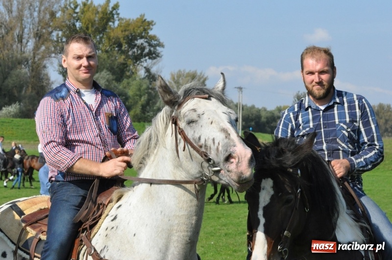 Zdjęcie w galerii na portalu naszraciborz.pl: Wielki piknik konny na Ostrogu, czyli raciborski Hubertus 2017 FOTO i WIDEO wiadomości z regionu