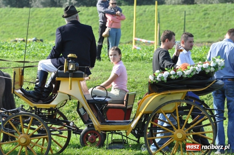 Zdjęcie w galerii na portalu naszraciborz.pl: Wielki piknik konny na Ostrogu, czyli raciborski Hubertus 2017 FOTO i WIDEO wiadomości z regionu