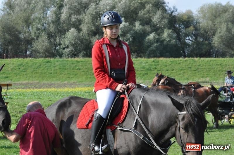 Zdjęcie w galerii na portalu naszraciborz.pl: Wielki piknik konny na Ostrogu, czyli raciborski Hubertus 2017 FOTO i WIDEO wiadomości z regionu