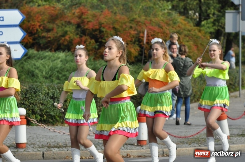 Zdjęcie w galerii na portalu naszraciborz.pl: Wielki piknik konny na Ostrogu, czyli raciborski Hubertus 2017 FOTO i WIDEO wiadomości z regionu