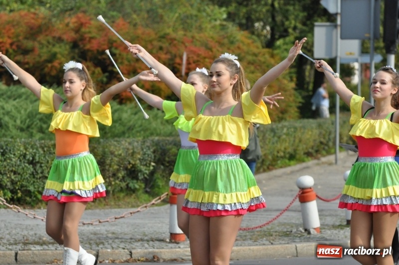Zdjęcie w galerii na portalu naszraciborz.pl: Wielki piknik konny na Ostrogu, czyli raciborski Hubertus 2017 FOTO i WIDEO wiadomości z regionu