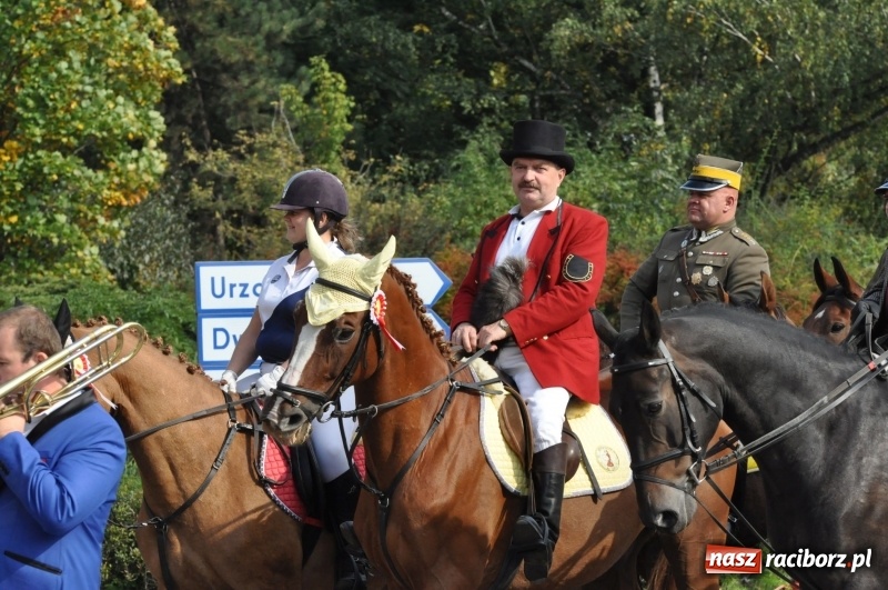 Zdjęcie w galerii na portalu naszraciborz.pl: Wielki piknik konny na Ostrogu, czyli raciborski Hubertus 2017 FOTO i WIDEO wiadomości z regionu
