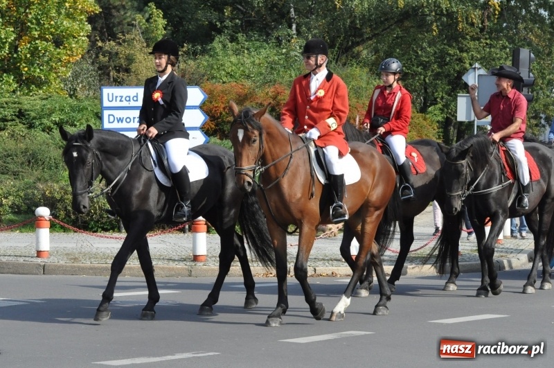 Zdjęcie w galerii na portalu naszraciborz.pl: Wielki piknik konny na Ostrogu, czyli raciborski Hubertus 2017 FOTO i WIDEO wiadomości z regionu