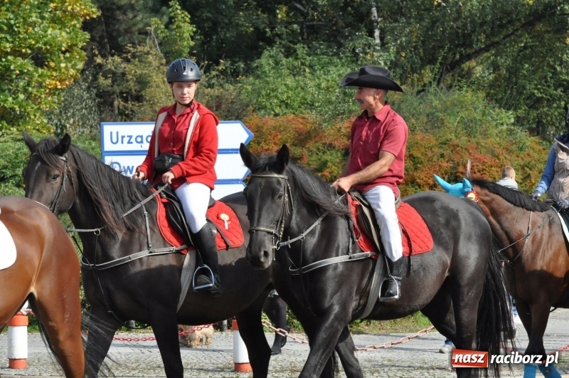 Zdjęcie w galerii na portalu naszraciborz.pl: Wielki piknik konny na Ostrogu, czyli raciborski Hubertus 2017 FOTO i WIDEO wiadomości z regionu