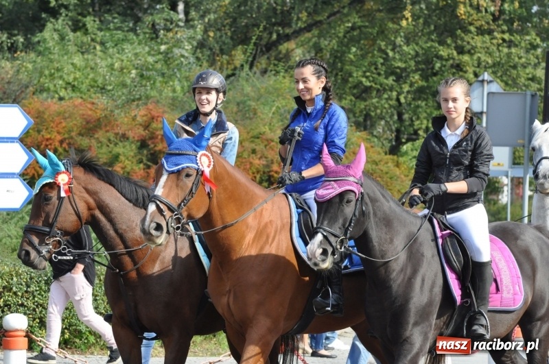 Zdjęcie w galerii na portalu naszraciborz.pl: Wielki piknik konny na Ostrogu, czyli raciborski Hubertus 2017 FOTO i WIDEO wiadomości z regionu