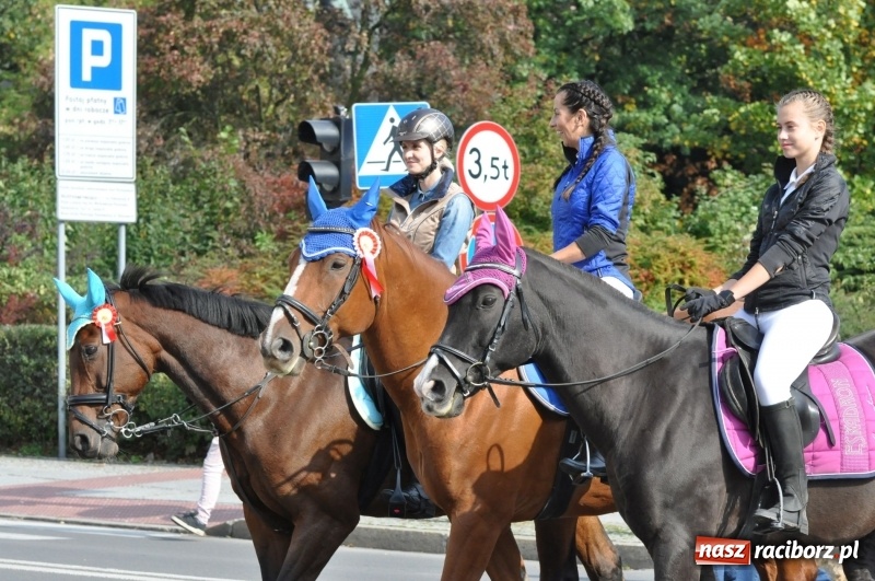 Zdjęcie w galerii na portalu naszraciborz.pl: Wielki piknik konny na Ostrogu, czyli raciborski Hubertus 2017 FOTO i WIDEO wiadomości z regionu
