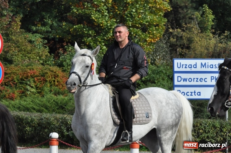 Zdjęcie w galerii na portalu naszraciborz.pl: Wielki piknik konny na Ostrogu, czyli raciborski Hubertus 2017 FOTO i WIDEO wiadomości z regionu