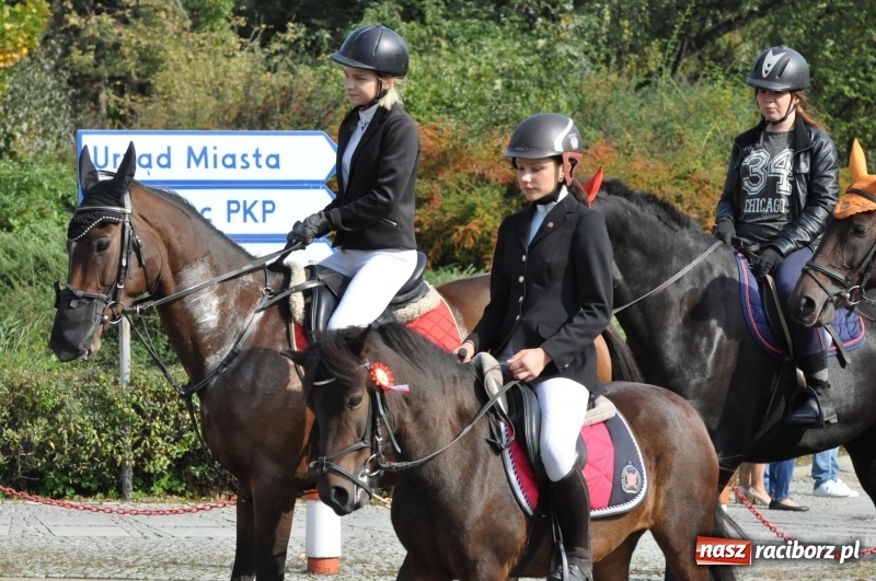 Zdjęcie w galerii na portalu naszraciborz.pl: Wielki piknik konny na Ostrogu, czyli raciborski Hubertus 2017 FOTO i WIDEO wiadomości z regionu