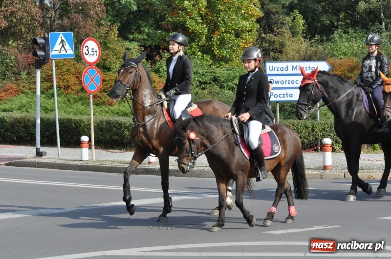 Zdjęcie w galerii na portalu naszraciborz.pl: Wielki piknik konny na Ostrogu, czyli raciborski Hubertus 2017 FOTO i WIDEO wiadomości z regionu