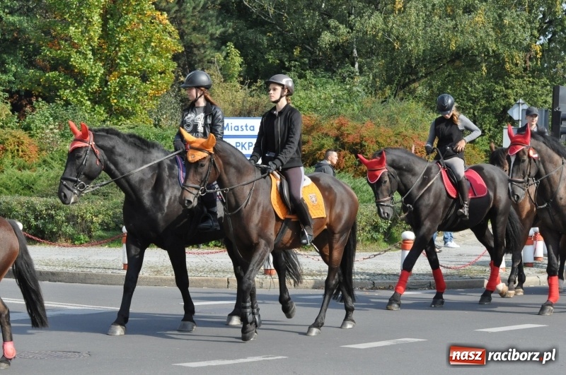 Zdjęcie w galerii na portalu naszraciborz.pl: Wielki piknik konny na Ostrogu, czyli raciborski Hubertus 2017 FOTO i WIDEO wiadomości z regionu