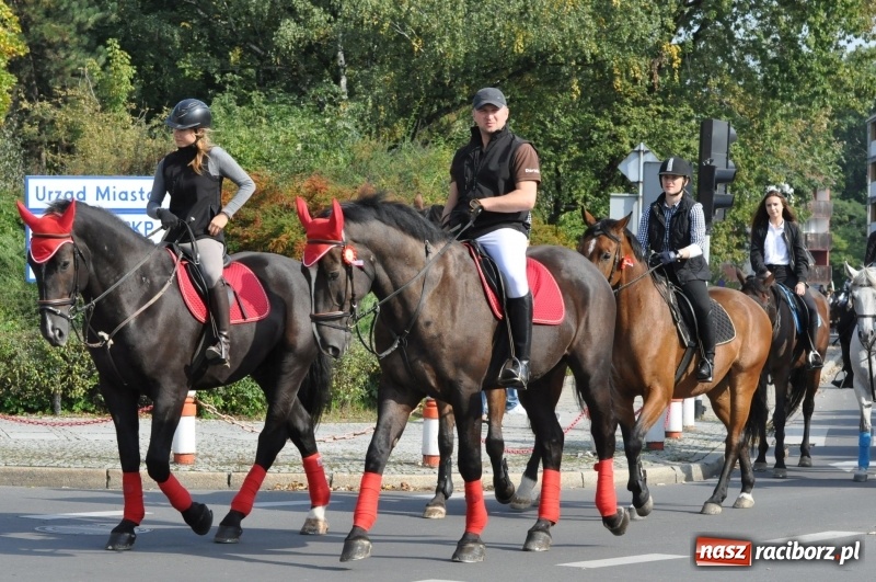 Zdjęcie w galerii na portalu naszraciborz.pl: Wielki piknik konny na Ostrogu, czyli raciborski Hubertus 2017 FOTO i WIDEO wiadomości z regionu