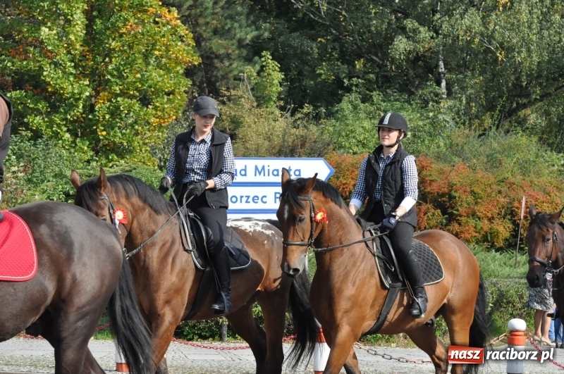 Zdjęcie w galerii na portalu naszraciborz.pl: Wielki piknik konny na Ostrogu, czyli raciborski Hubertus 2017 FOTO i WIDEO wiadomości z regionu