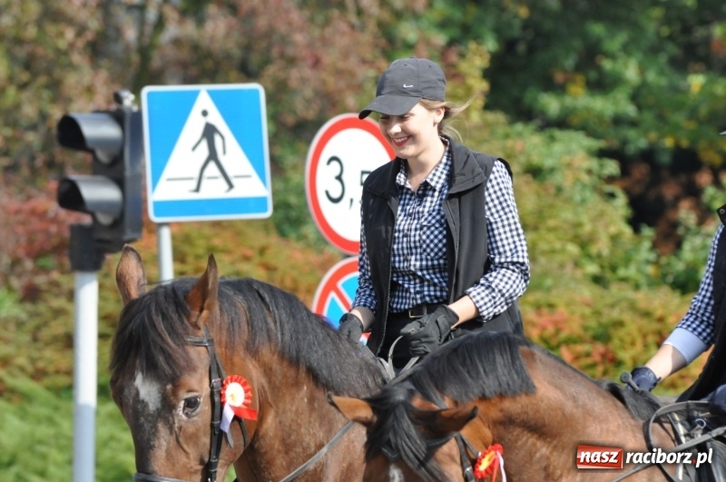 Zdjęcie w galerii na portalu naszraciborz.pl: Wielki piknik konny na Ostrogu, czyli raciborski Hubertus 2017 FOTO i WIDEO wiadomości z regionu