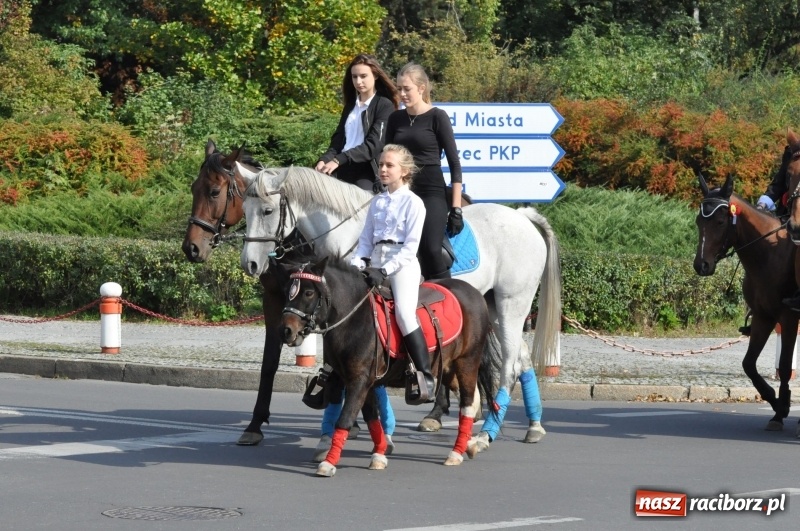 Zdjęcie w galerii na portalu naszraciborz.pl: Wielki piknik konny na Ostrogu, czyli raciborski Hubertus 2017 FOTO i WIDEO wiadomości z regionu