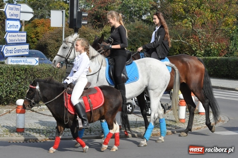 Zdjęcie w galerii na portalu naszraciborz.pl: Wielki piknik konny na Ostrogu, czyli raciborski Hubertus 2017 FOTO i WIDEO wiadomości z regionu