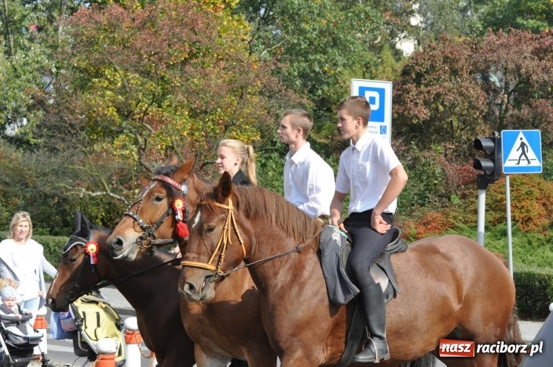 Zdjęcie w galerii na portalu naszraciborz.pl: Wielki piknik konny na Ostrogu, czyli raciborski Hubertus 2017 FOTO i WIDEO wiadomości z regionu