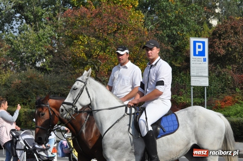 Zdjęcie w galerii na portalu naszraciborz.pl: Wielki piknik konny na Ostrogu, czyli raciborski Hubertus 2017 FOTO i WIDEO wiadomości z regionu
