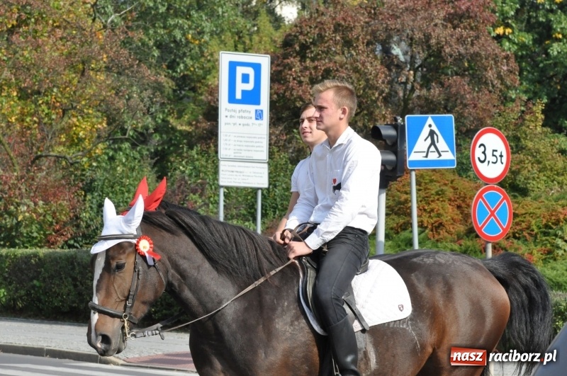 Zdjęcie w galerii na portalu naszraciborz.pl: Wielki piknik konny na Ostrogu, czyli raciborski Hubertus 2017 FOTO i WIDEO wiadomości z regionu