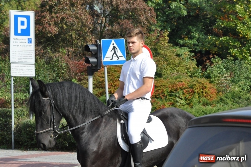 Zdjęcie w galerii na portalu naszraciborz.pl: Wielki piknik konny na Ostrogu, czyli raciborski Hubertus 2017 FOTO i WIDEO wiadomości z regionu