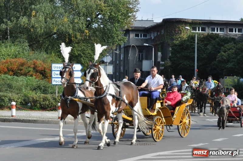 Zdjęcie w galerii na portalu naszraciborz.pl: Wielki piknik konny na Ostrogu, czyli raciborski Hubertus 2017 FOTO i WIDEO wiadomości z regionu