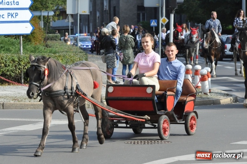 Zdjęcie w galerii na portalu naszraciborz.pl: Wielki piknik konny na Ostrogu, czyli raciborski Hubertus 2017 FOTO i WIDEO wiadomości z regionu