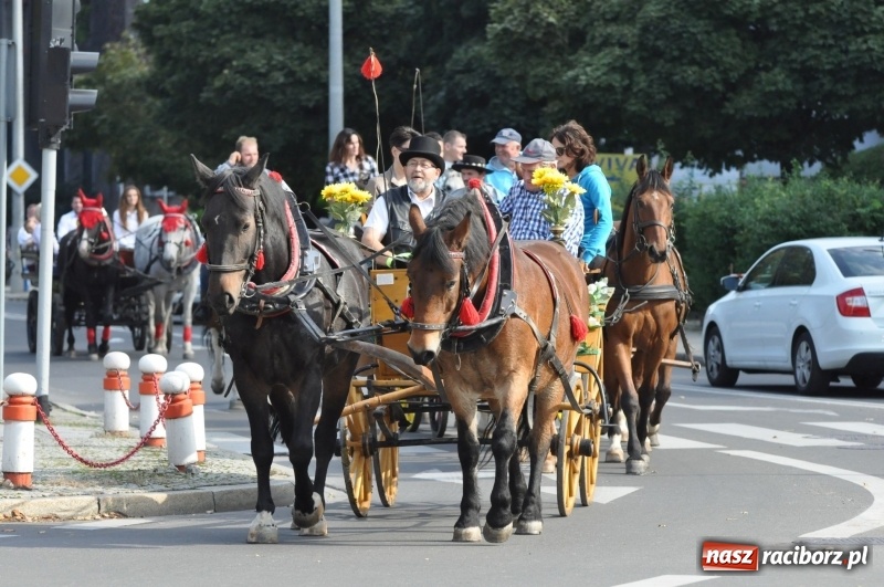 Zdjęcie w galerii na portalu naszraciborz.pl: Wielki piknik konny na Ostrogu, czyli raciborski Hubertus 2017 FOTO i WIDEO wiadomości z regionu