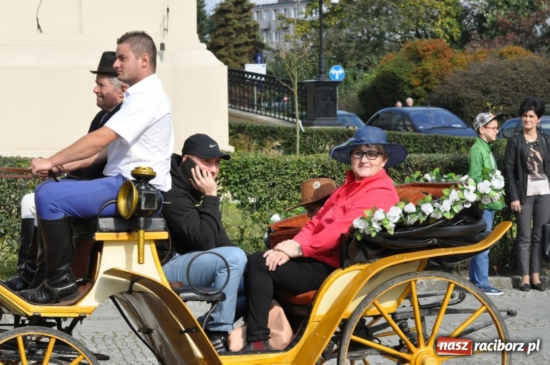 Zdjęcie w galerii na portalu naszraciborz.pl: Wielki piknik konny na Ostrogu, czyli raciborski Hubertus 2017 FOTO i WIDEO wiadomości z regionu