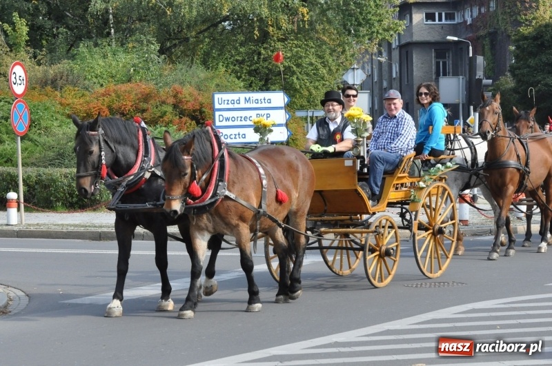 Zdjęcie w galerii na portalu naszraciborz.pl: Wielki piknik konny na Ostrogu, czyli raciborski Hubertus 2017 FOTO i WIDEO wiadomości z regionu