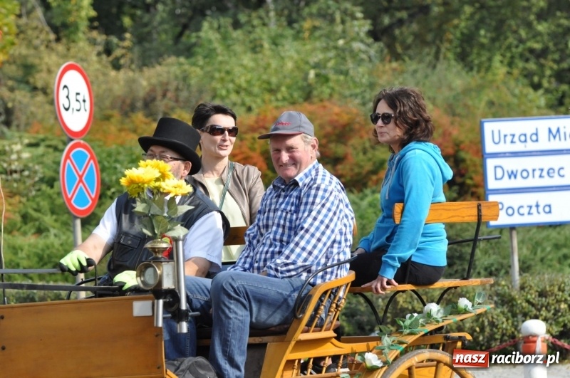 Zdjęcie w galerii na portalu naszraciborz.pl: Wielki piknik konny na Ostrogu, czyli raciborski Hubertus 2017 FOTO i WIDEO wiadomości z regionu
