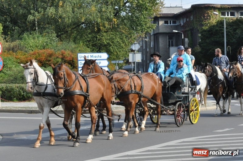 Zdjęcie w galerii na portalu naszraciborz.pl: Wielki piknik konny na Ostrogu, czyli raciborski Hubertus 2017 FOTO i WIDEO wiadomości z regionu
