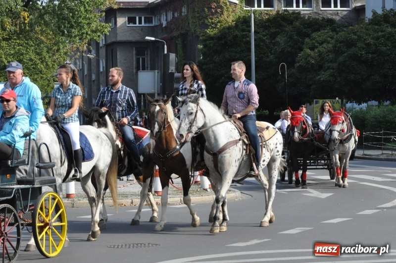 Zdjęcie w galerii na portalu naszraciborz.pl: Wielki piknik konny na Ostrogu, czyli raciborski Hubertus 2017 FOTO i WIDEO wiadomości z regionu
