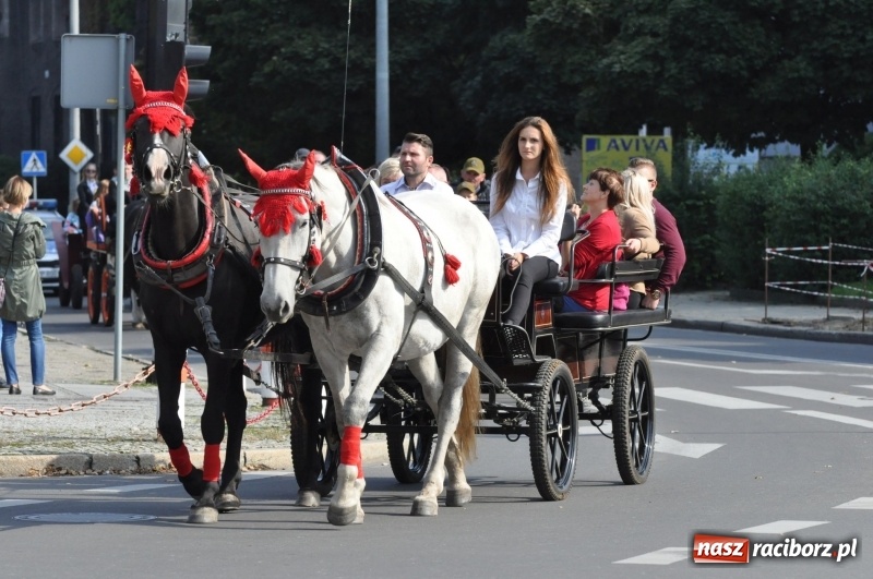 Zdjęcie w galerii na portalu naszraciborz.pl: Wielki piknik konny na Ostrogu, czyli raciborski Hubertus 2017 FOTO i WIDEO wiadomości z regionu