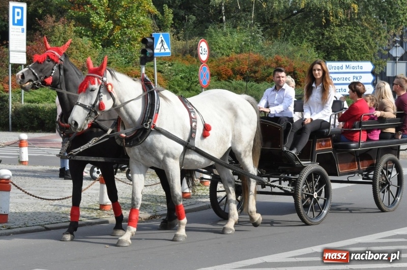 Zdjęcie w galerii na portalu naszraciborz.pl: Wielki piknik konny na Ostrogu, czyli raciborski Hubertus 2017 FOTO i WIDEO wiadomości z regionu