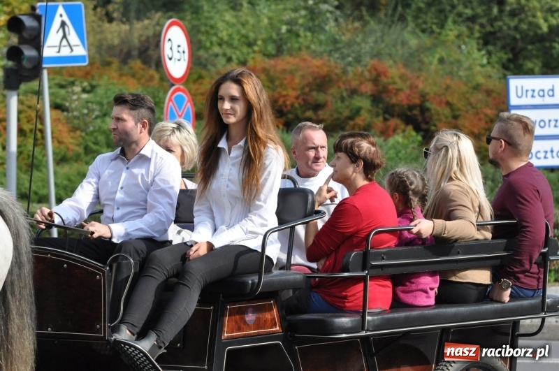 Zdjęcie w galerii na portalu naszraciborz.pl: Wielki piknik konny na Ostrogu, czyli raciborski Hubertus 2017 FOTO i WIDEO wiadomości z regionu