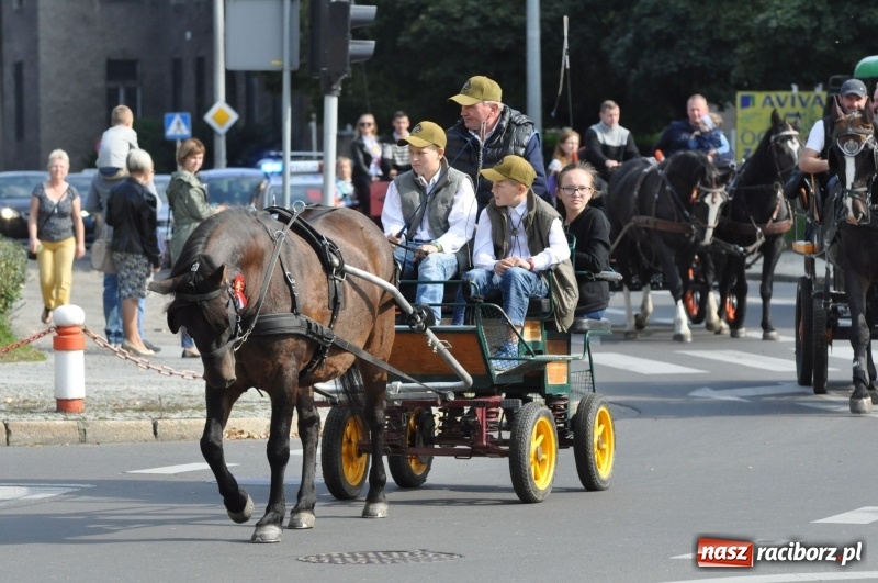 Zdjęcie w galerii na portalu naszraciborz.pl: Wielki piknik konny na Ostrogu, czyli raciborski Hubertus 2017 FOTO i WIDEO wiadomości z regionu