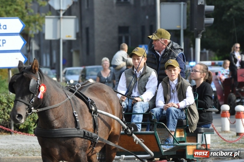 Zdjęcie w galerii na portalu naszraciborz.pl: Wielki piknik konny na Ostrogu, czyli raciborski Hubertus 2017 FOTO i WIDEO wiadomości z regionu
