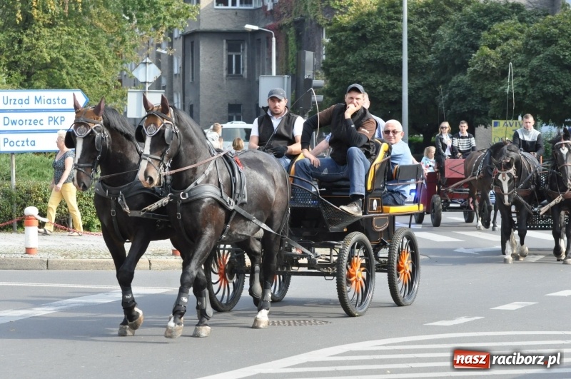 Zdjęcie w galerii na portalu naszraciborz.pl: Wielki piknik konny na Ostrogu, czyli raciborski Hubertus 2017 FOTO i WIDEO wiadomości z regionu