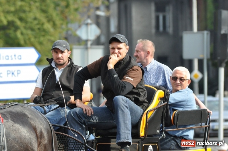 Zdjęcie w galerii na portalu naszraciborz.pl: Wielki piknik konny na Ostrogu, czyli raciborski Hubertus 2017 FOTO i WIDEO wiadomości z regionu