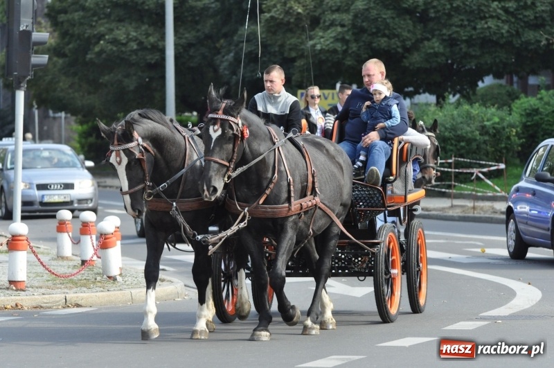 Zdjęcie w galerii na portalu naszraciborz.pl: Wielki piknik konny na Ostrogu, czyli raciborski Hubertus 2017 FOTO i WIDEO wiadomości z regionu