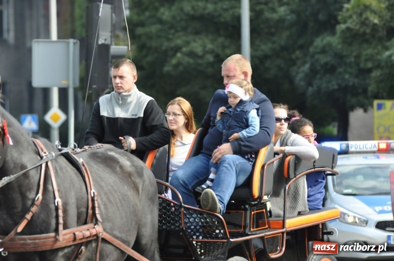 Zdjęcie w galerii na portalu naszraciborz.pl: Wielki piknik konny na Ostrogu, czyli raciborski Hubertus 2017 FOTO i WIDEO wiadomości z regionu
