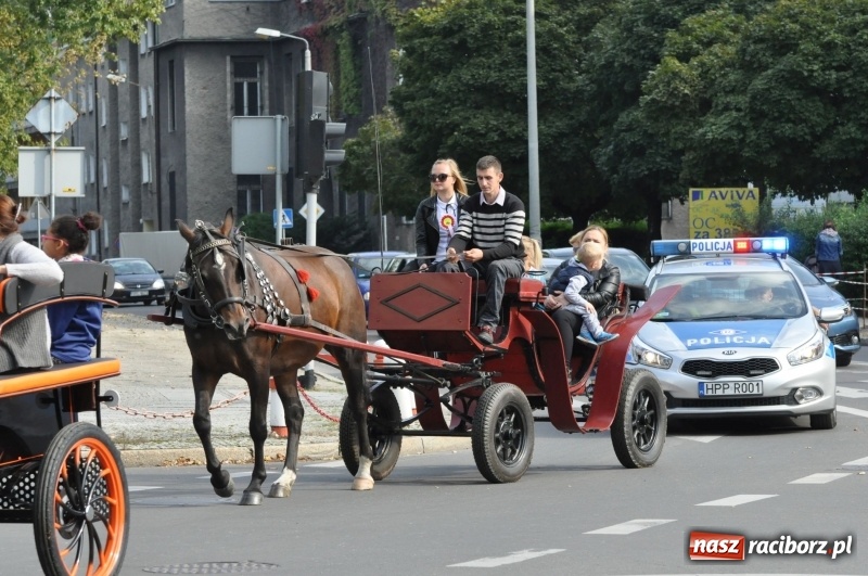 Zdjęcie w galerii na portalu naszraciborz.pl: Wielki piknik konny na Ostrogu, czyli raciborski Hubertus 2017 FOTO i WIDEO wiadomości z regionu