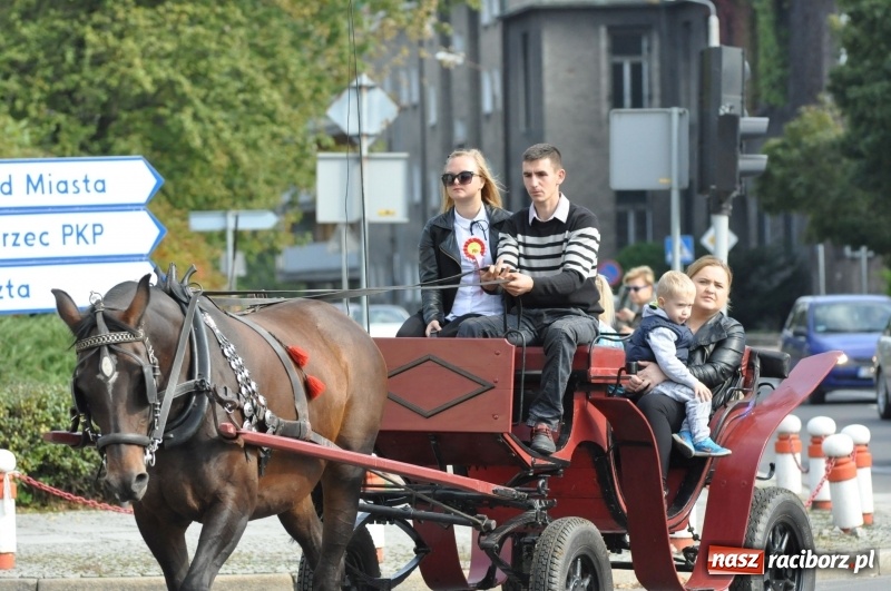 Zdjęcie w galerii na portalu naszraciborz.pl: Wielki piknik konny na Ostrogu, czyli raciborski Hubertus 2017 FOTO i WIDEO wiadomości z regionu