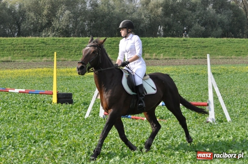 Zdjęcie w galerii na portalu naszraciborz.pl: Hubertus 2017. Adrian Krzemień złapał lisią kitę  wiadomości z regionu