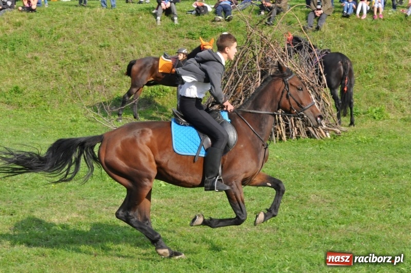 Zdjęcie w galerii na portalu naszraciborz.pl: Hubertus 2017. Adrian Krzemień złapał lisią kitę  wiadomości z regionu