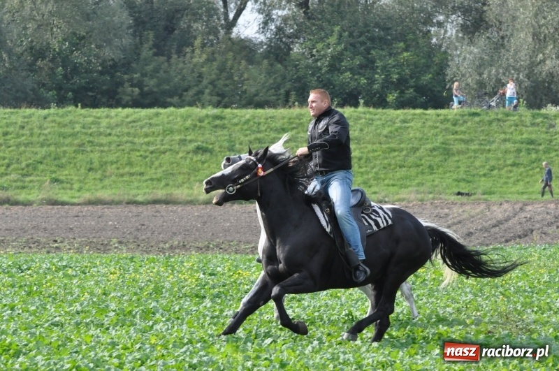Zdjęcie w galerii na portalu naszraciborz.pl: Hubertus 2017. Adrian Krzemień złapał lisią kitę  wiadomości z regionu