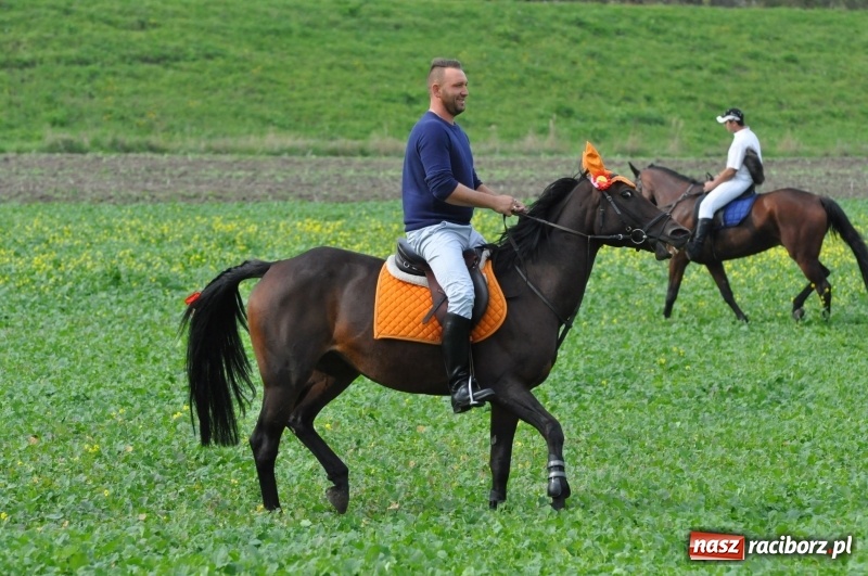 Zdjęcie w galerii na portalu naszraciborz.pl: Hubertus 2017. Adrian Krzemień złapał lisią kitę  wiadomości z regionu