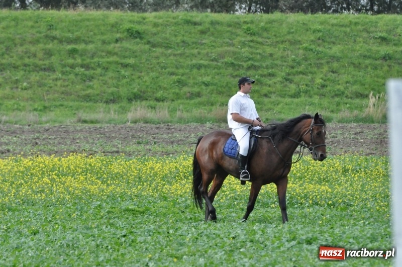 Zdjęcie w galerii na portalu naszraciborz.pl: Hubertus 2017. Adrian Krzemień złapał lisią kitę  wiadomości z regionu