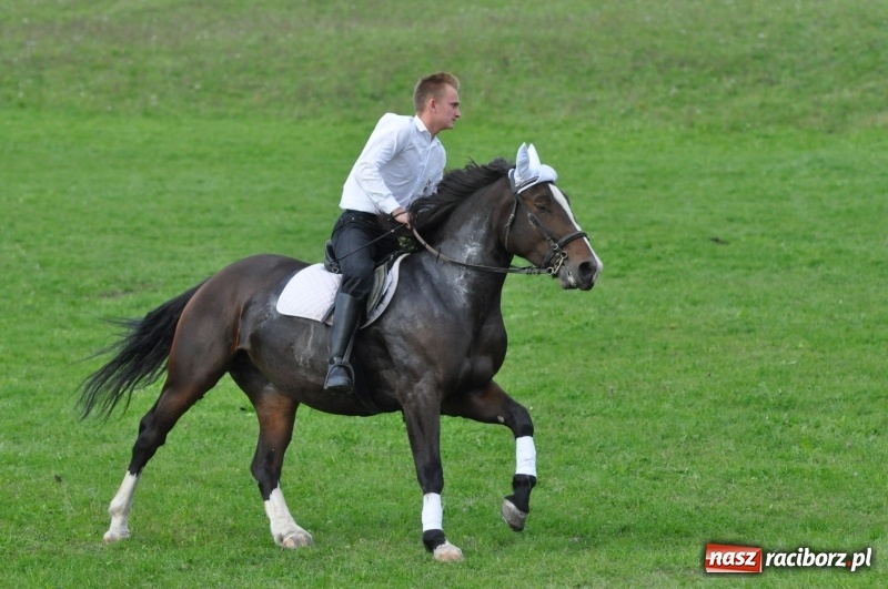 Zdjęcie w galerii na portalu naszraciborz.pl: Hubertus 2017. Adrian Krzemień złapał lisią kitę  wiadomości z regionu