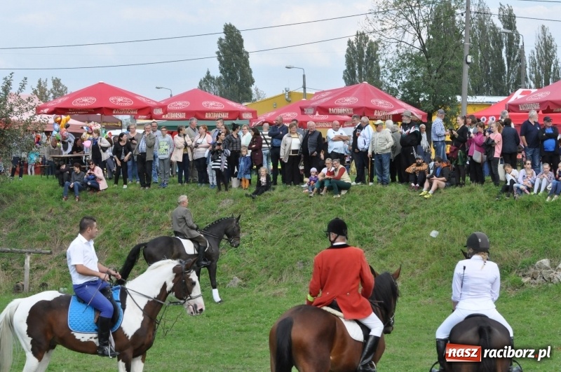 Zdjęcie w galerii na portalu naszraciborz.pl: Hubertus 2017. Adrian Krzemień złapał lisią kitę  wiadomości z regionu