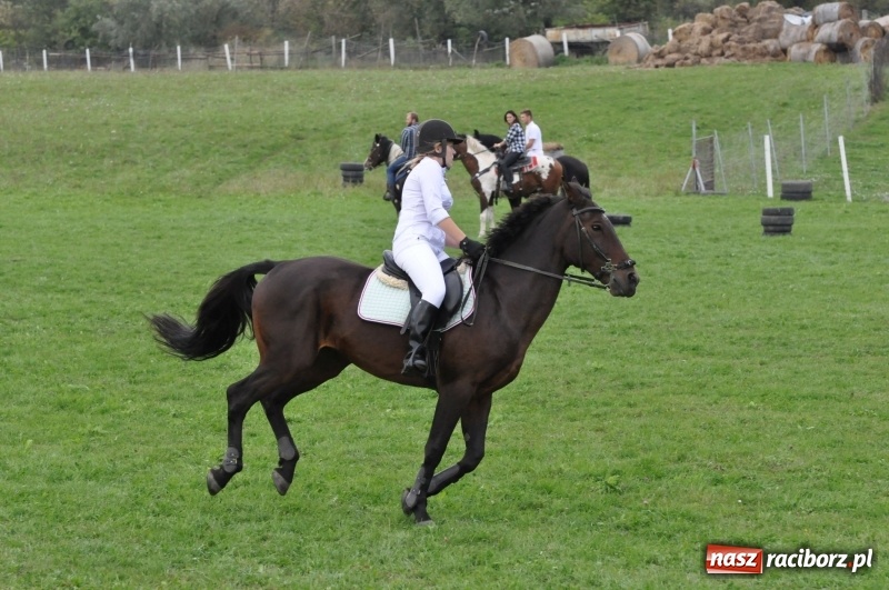 Zdjęcie w galerii na portalu naszraciborz.pl: Hubertus 2017. Adrian Krzemień złapał lisią kitę  wiadomości z regionu